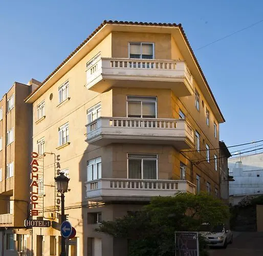  Cachalote