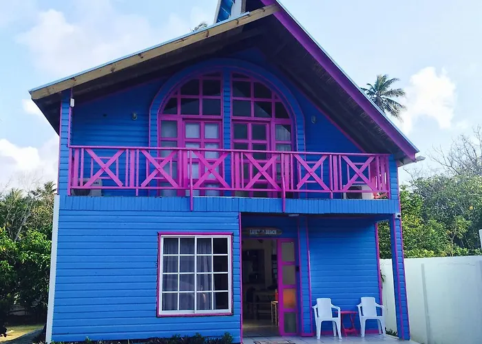  Buganvilla