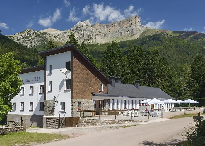 Camping Selva De Oza