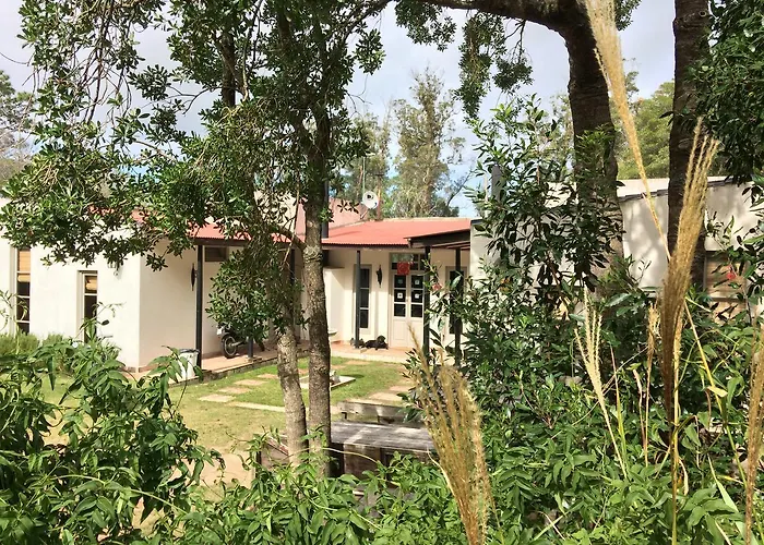 Hostel Punta Ballena Bar