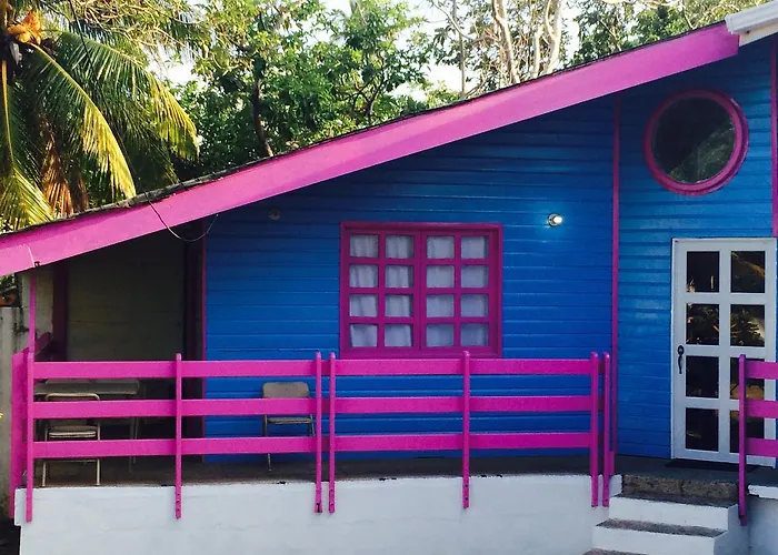  Buganvilla