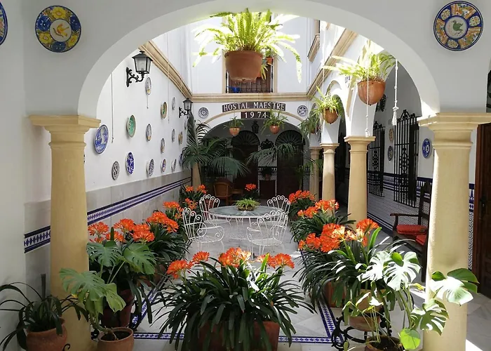 Hoteles que admiten perros en Córdoba 