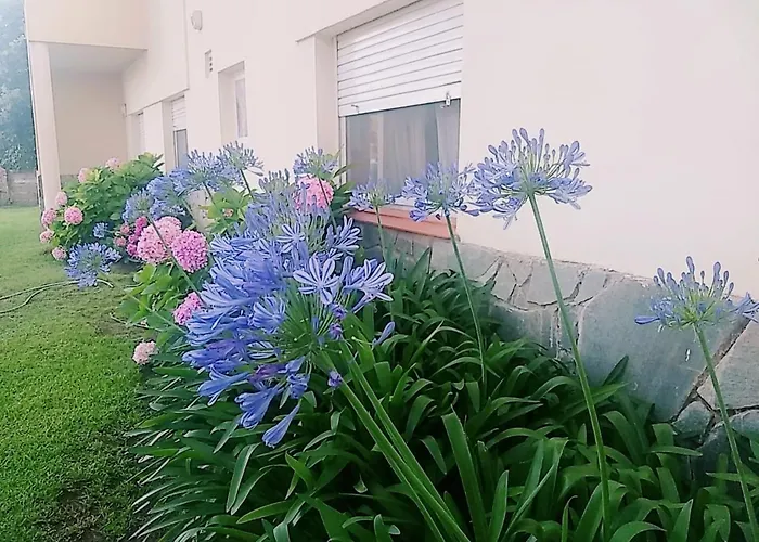 Hotel Tritones