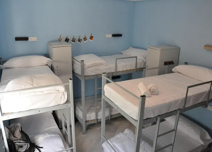 Albergue: Lemon Garden Hostel Sevilla