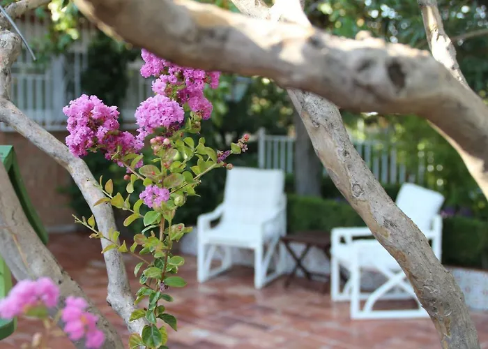 Villa con piscina: El jardín de la abuela