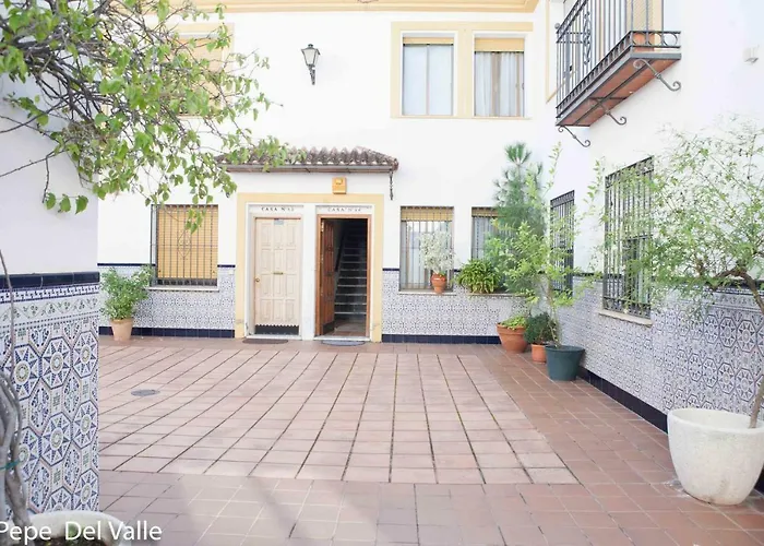 Patios “ El Carmen”